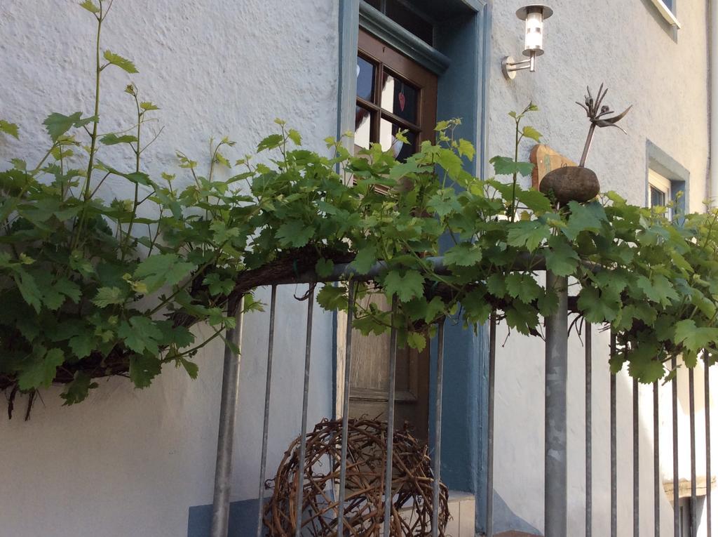 Apartmán Winzerhaeuschen, Weingut Th. Mueller Reil Exteriér fotografie